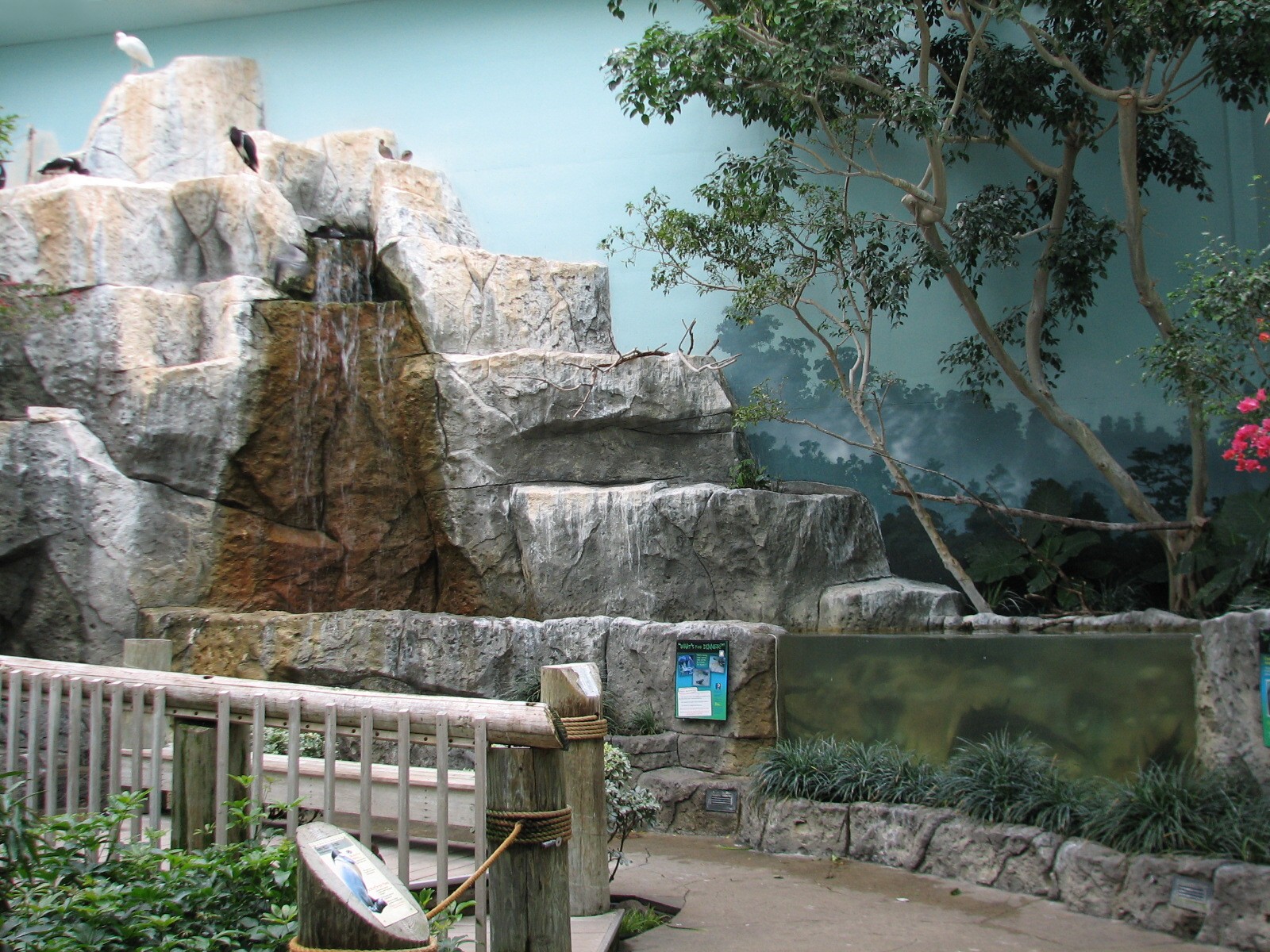 Aviary - Walkthrough Aviary