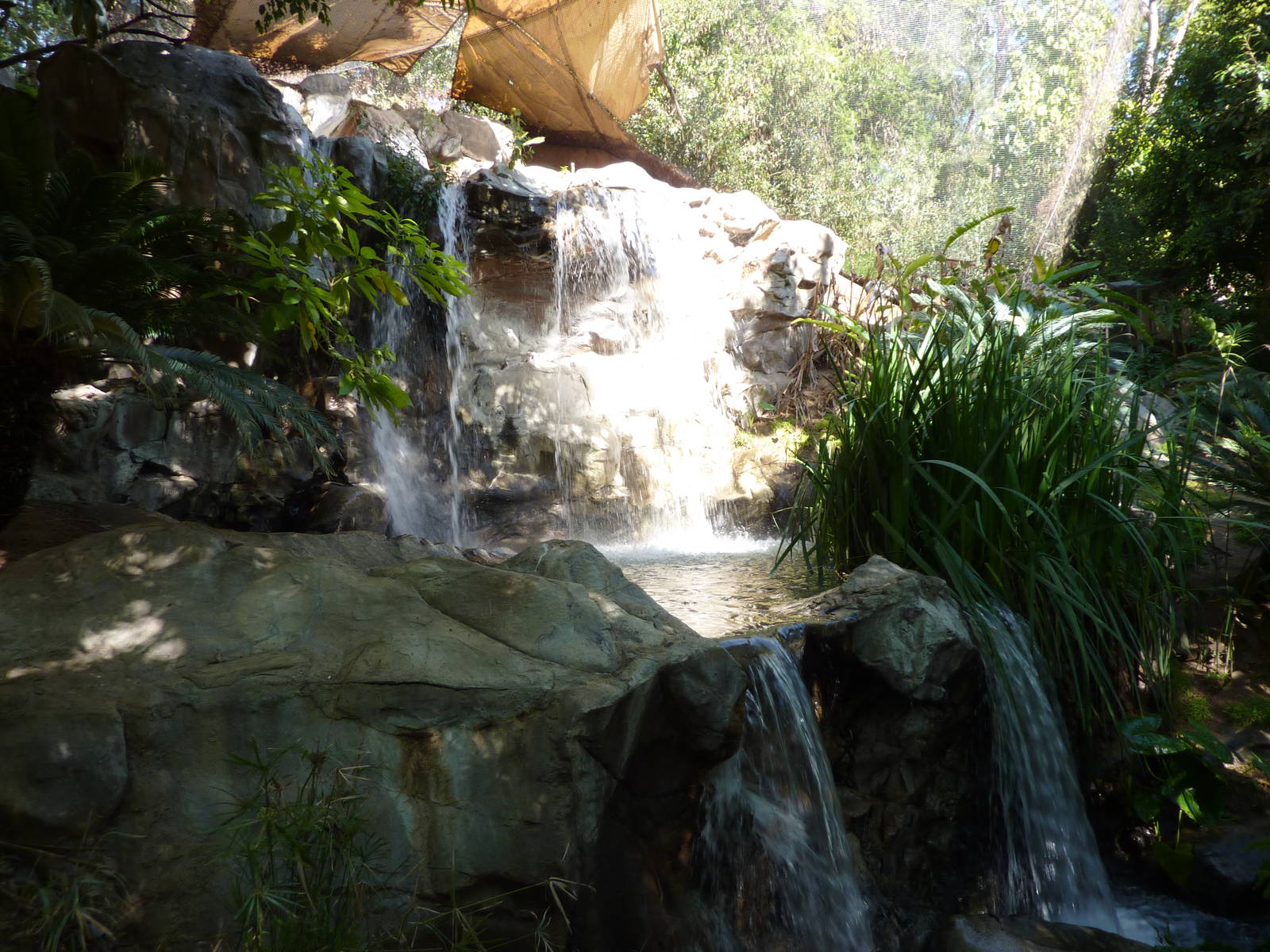 Aviary Waterfall