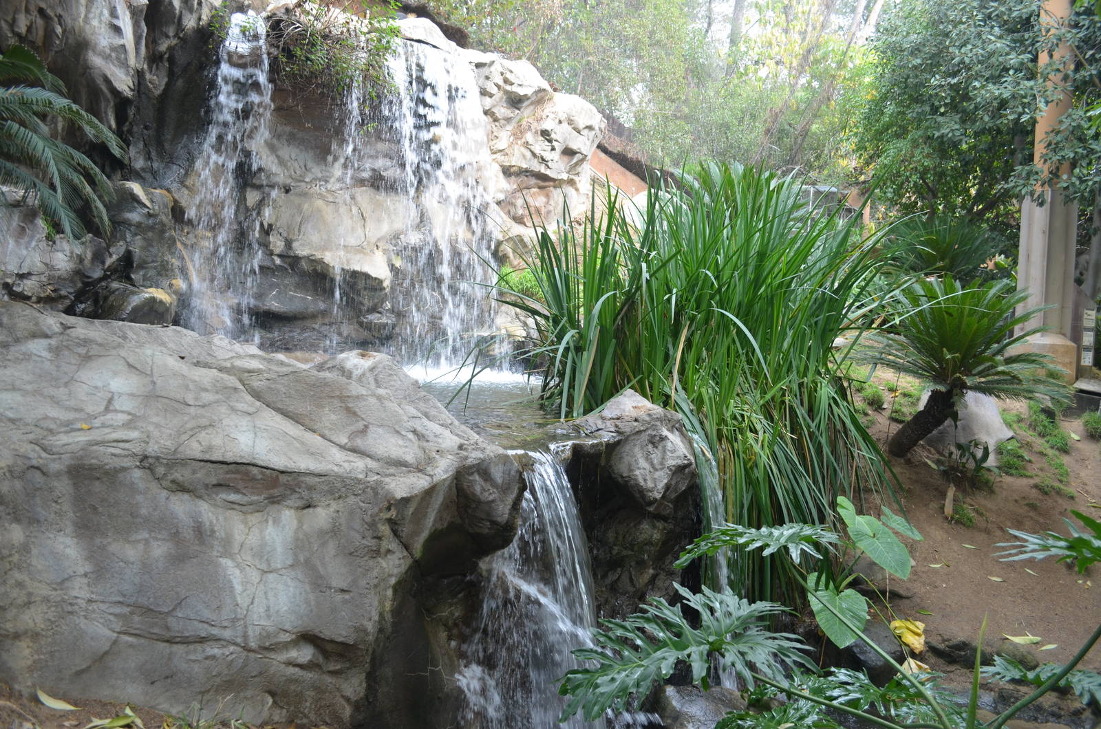 Aviary Waterfall