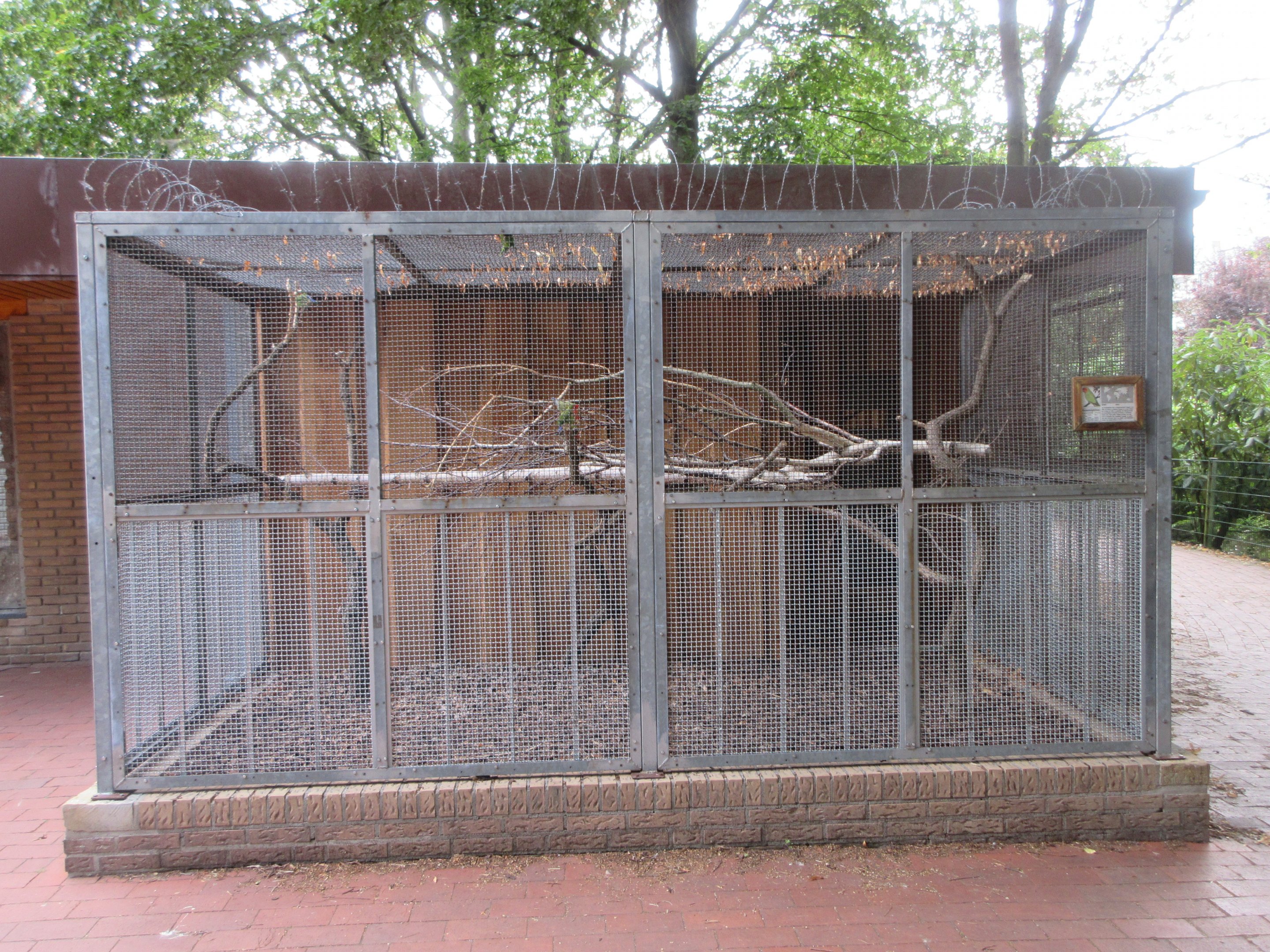 Aviary (with barbed wire on top)