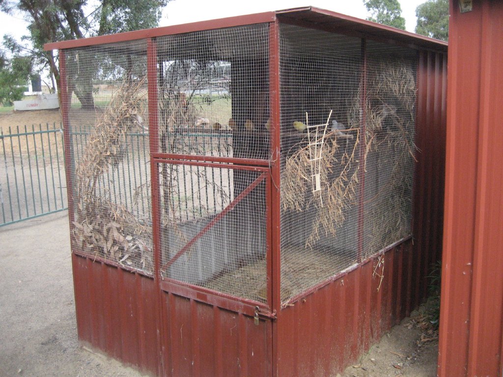 Aviary with canaries and diamond doves.