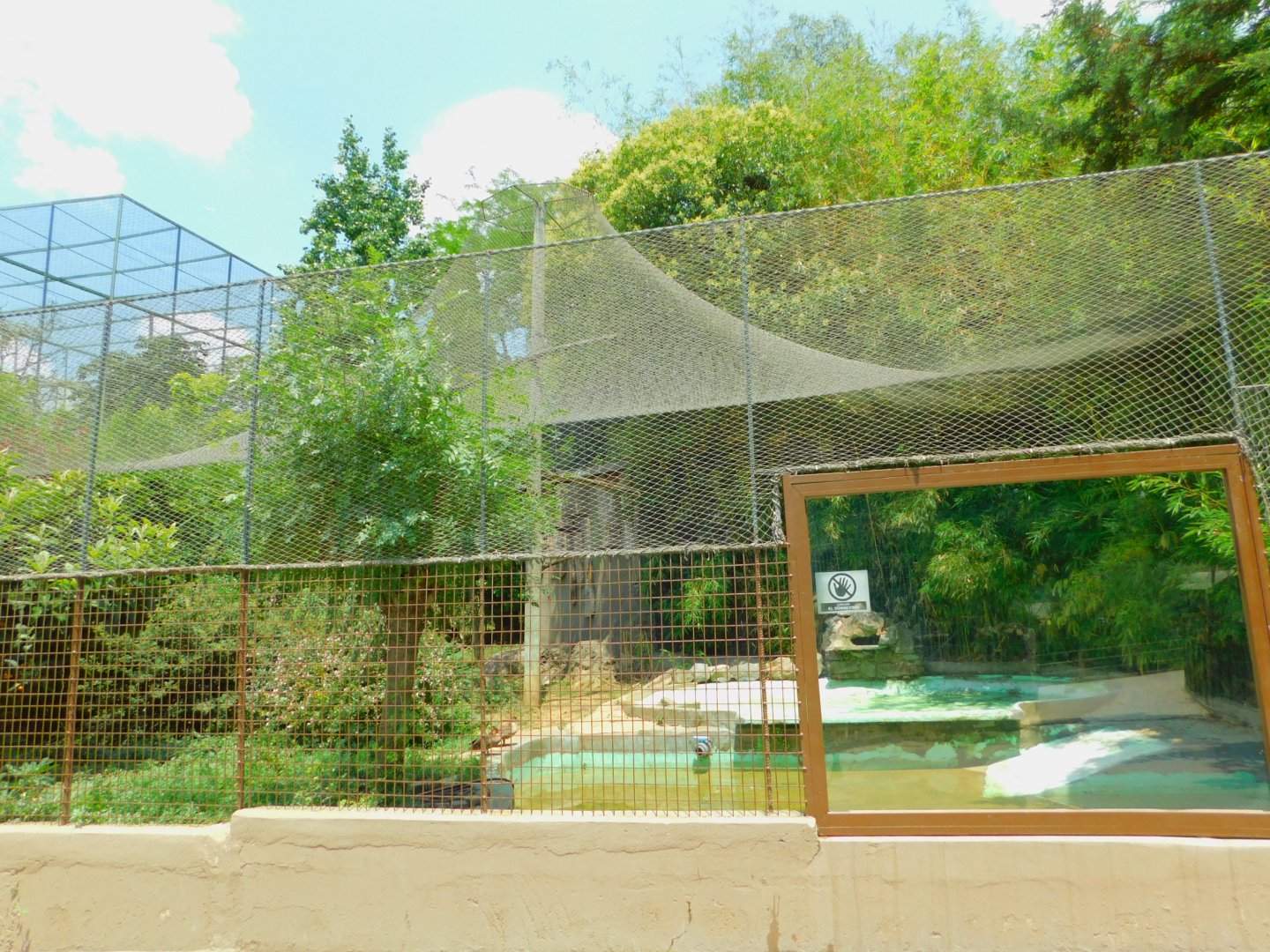 Aviary with Philipine duck and comb duck