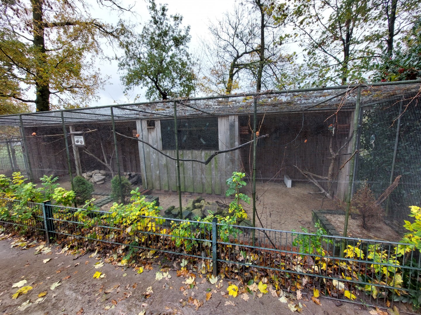 Aviary with Red-crowned parakeet and eurupean quail (Stadtpark Emsdetten)