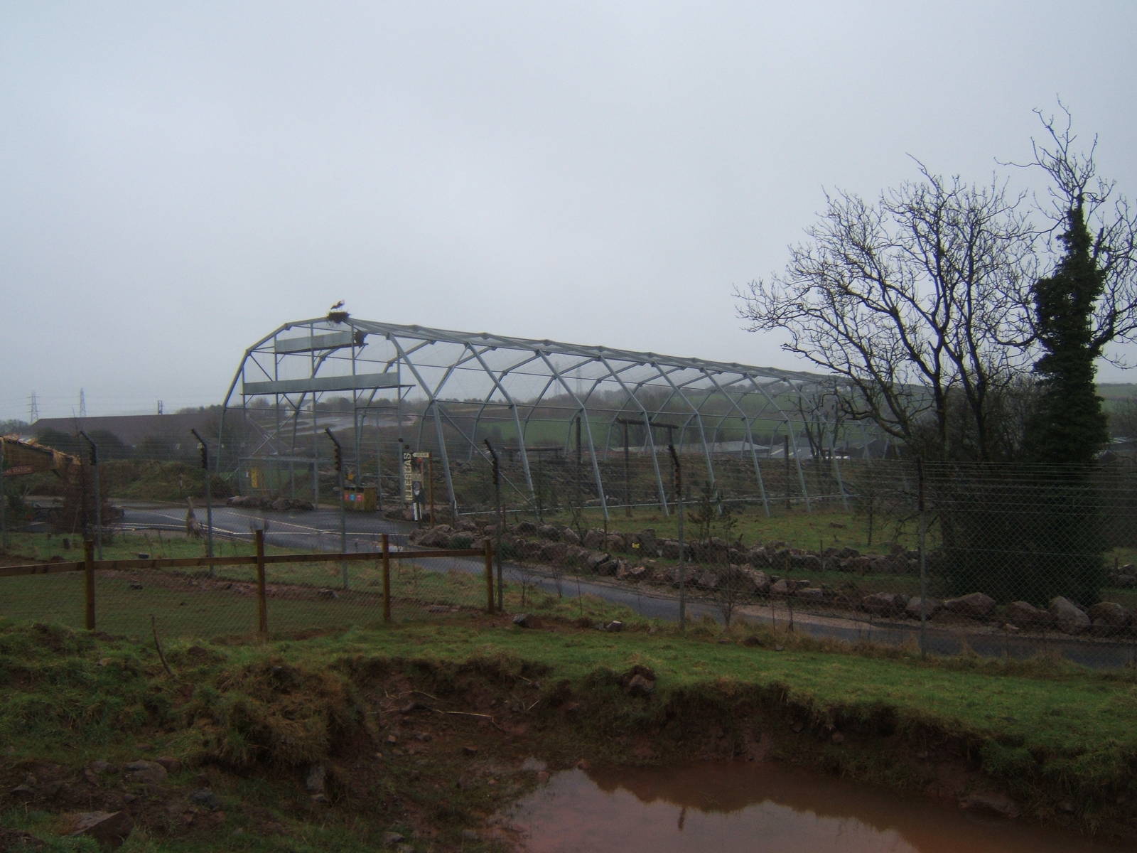Aviary with White Storks on the top