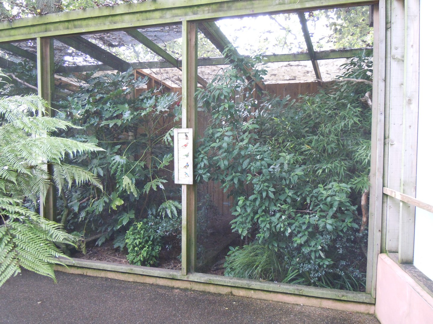 Aviary within Gems of the Jungle 070920