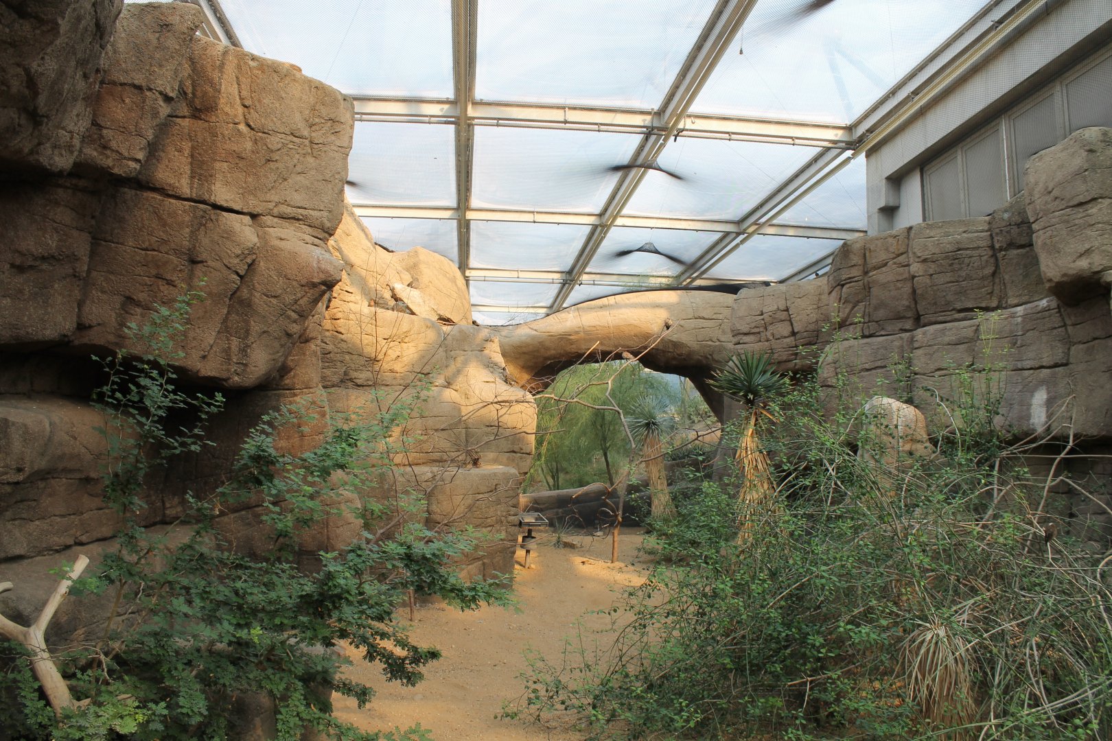 Aviary within the Desert