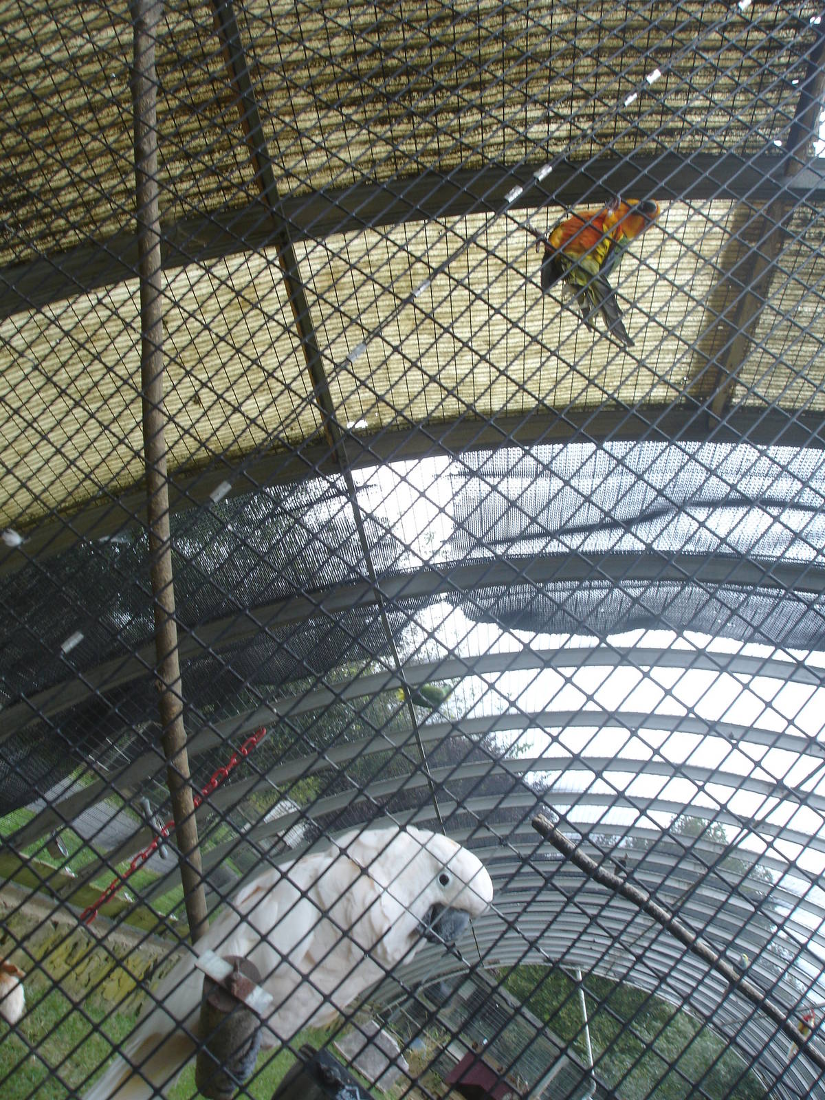 Aviary