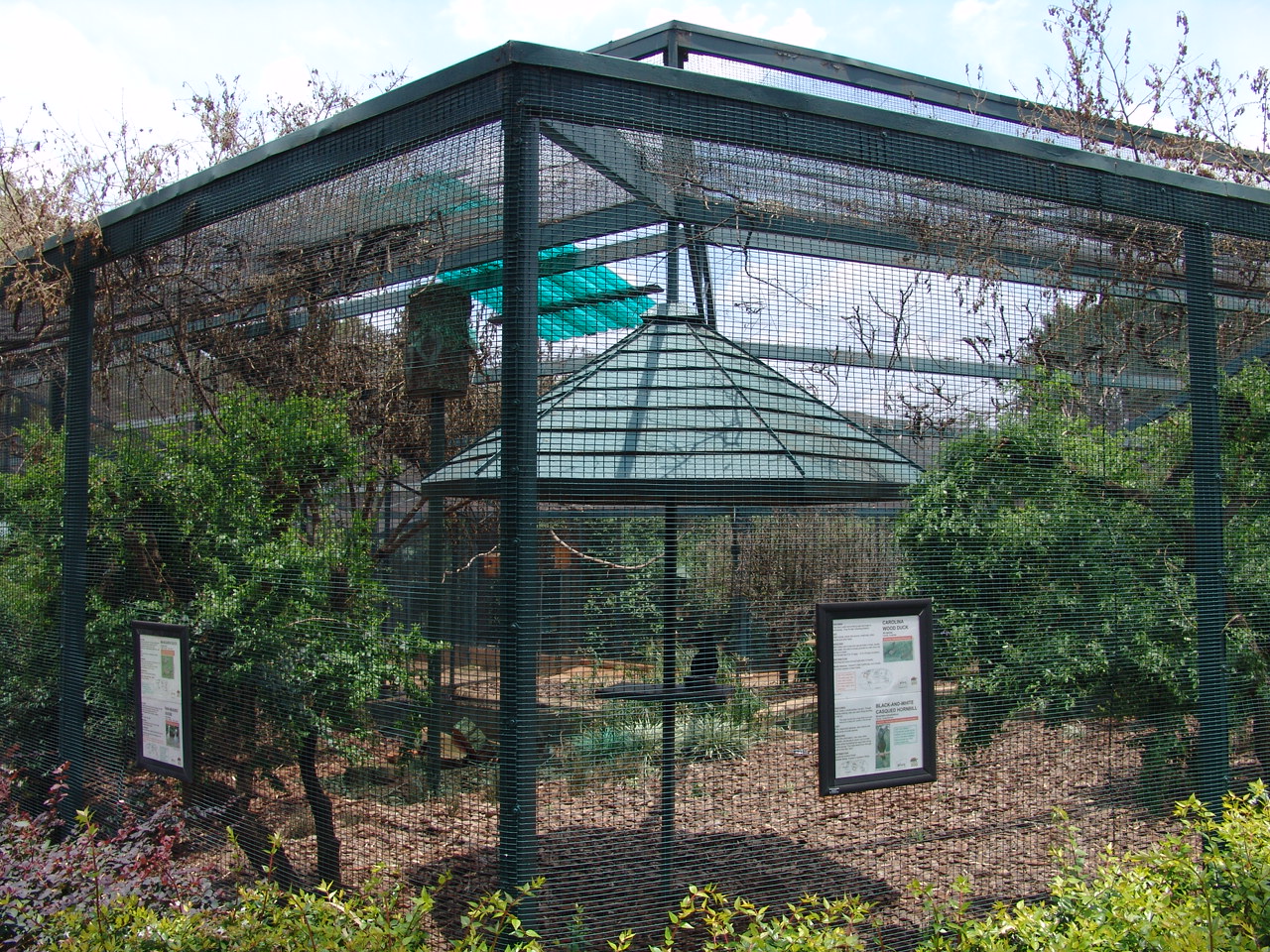 Aviary
