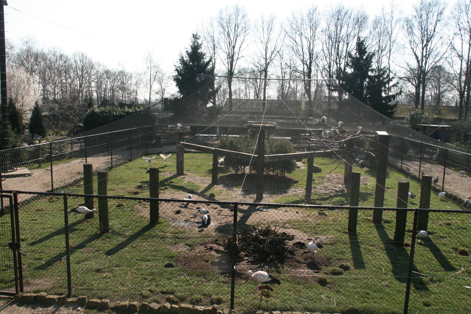 Aviary