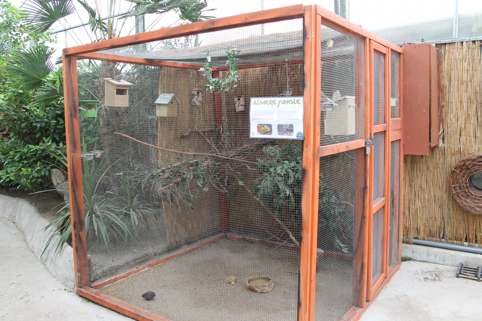 Aviary