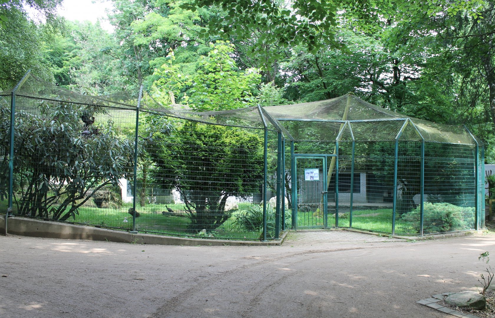 Aviary