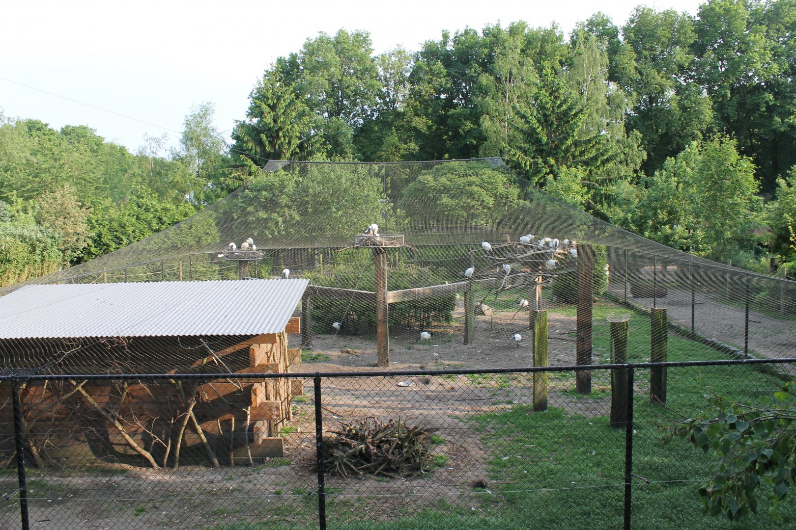 Aviary