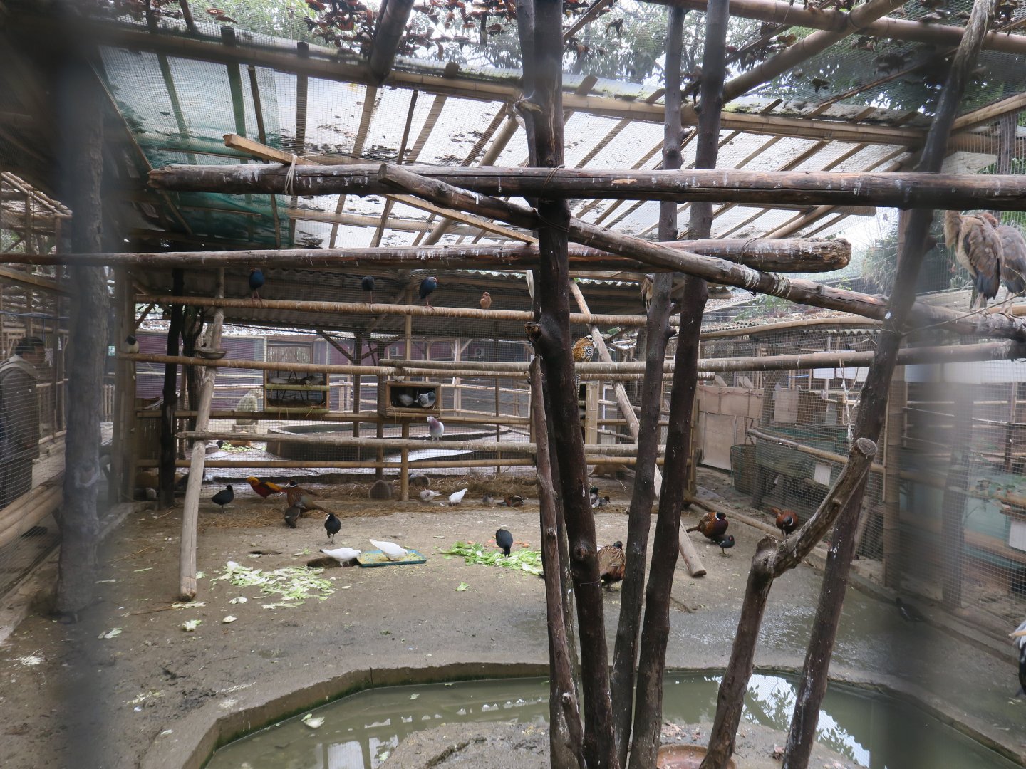aviary