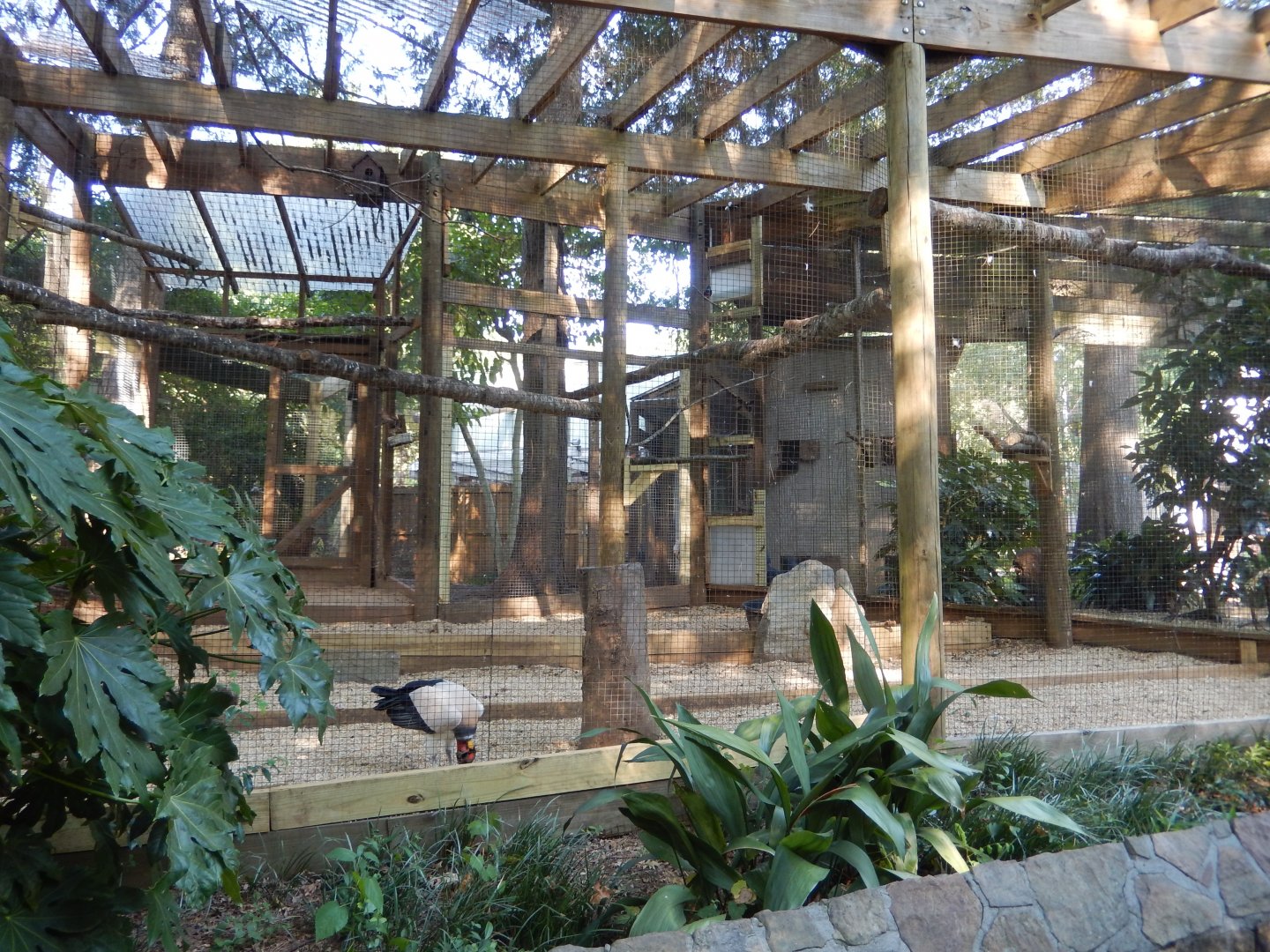 Aviary