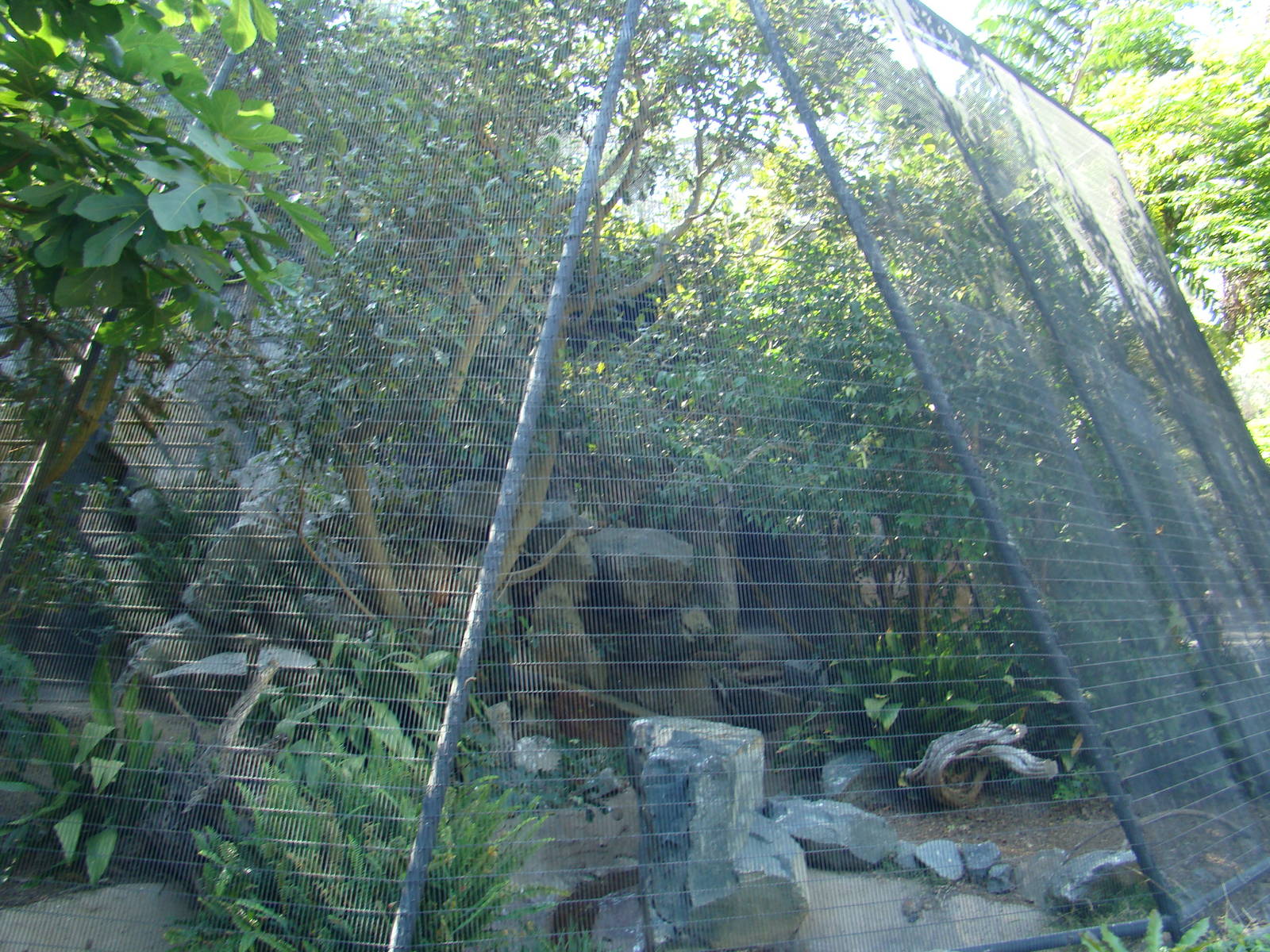 Aviary