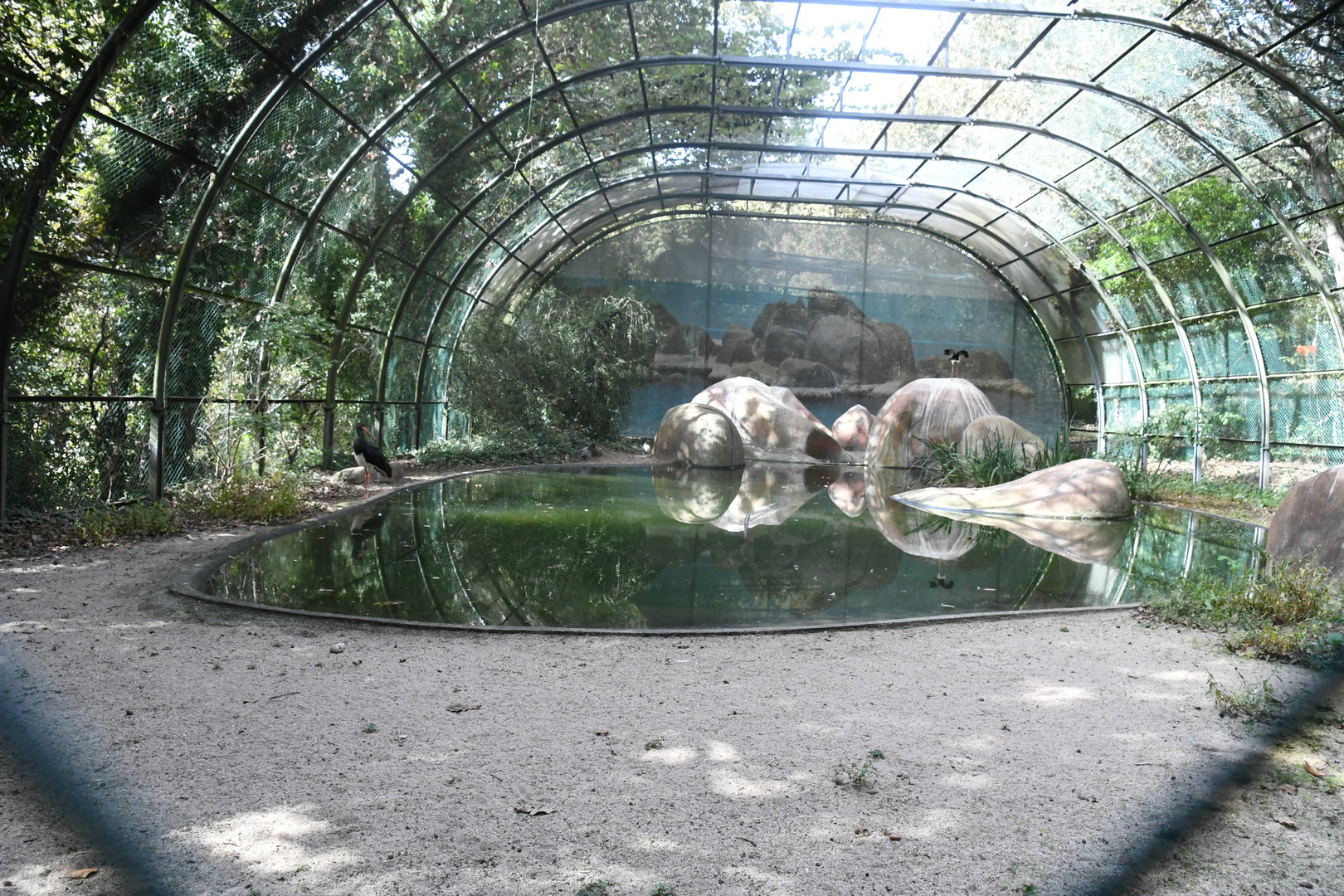 Aviary
