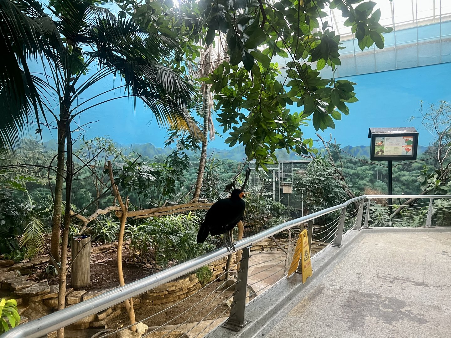 Aviary