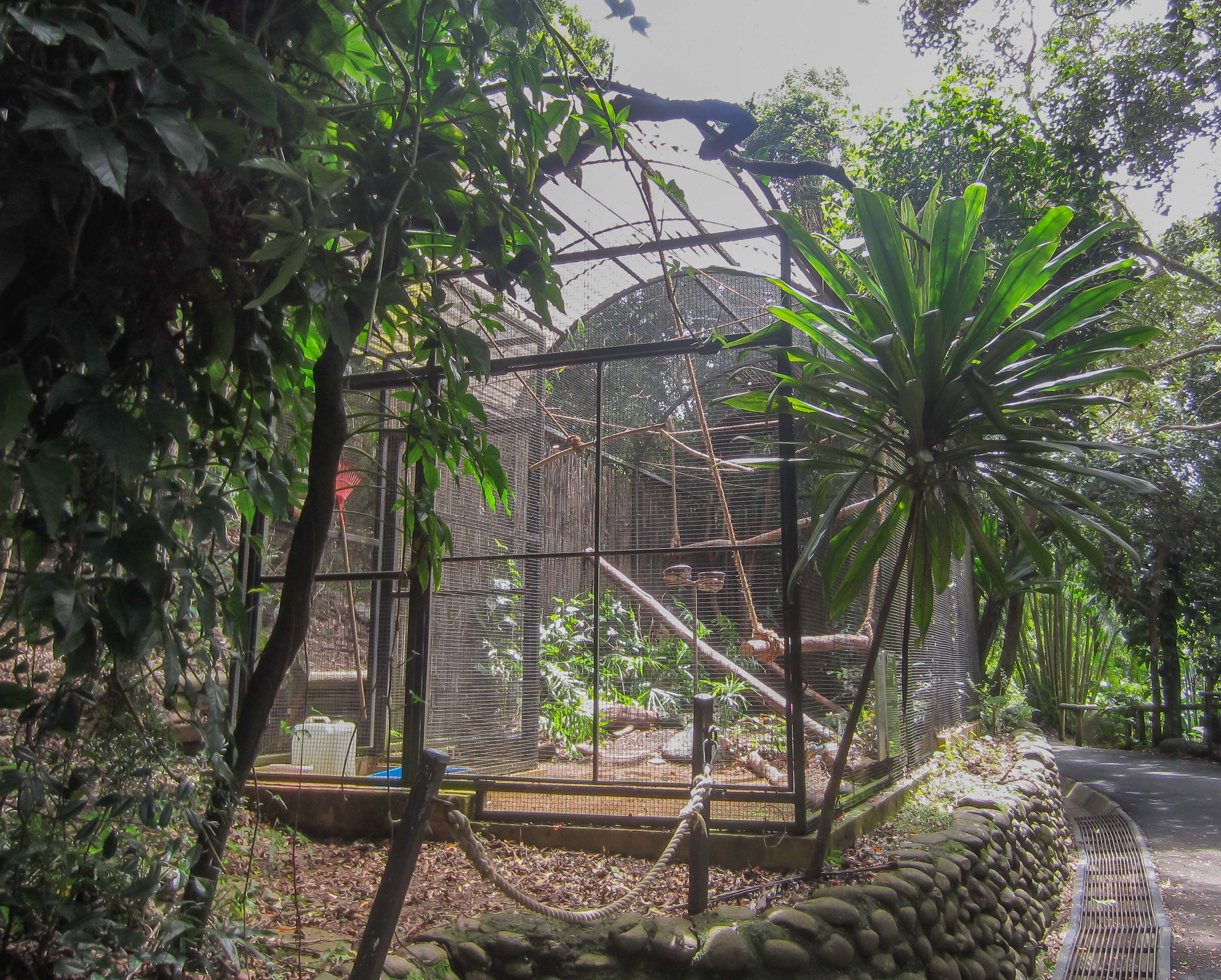 Aviary