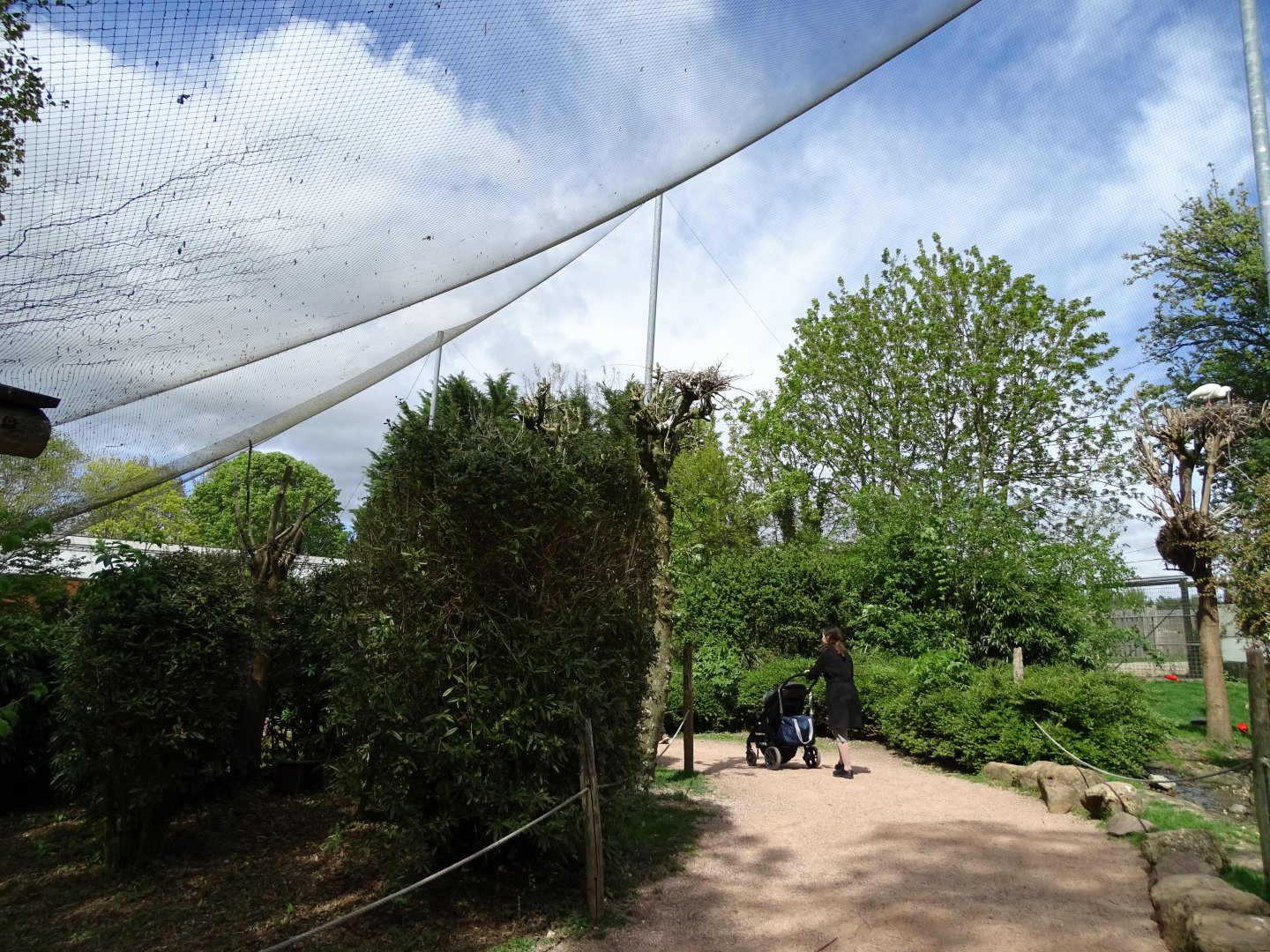 Aviary