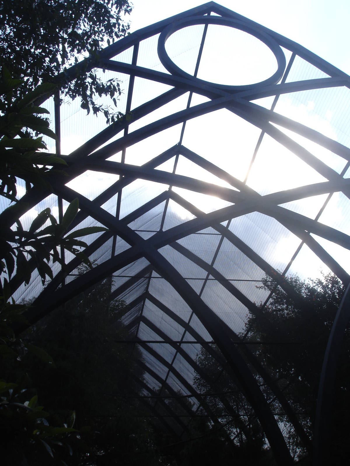 Aviary