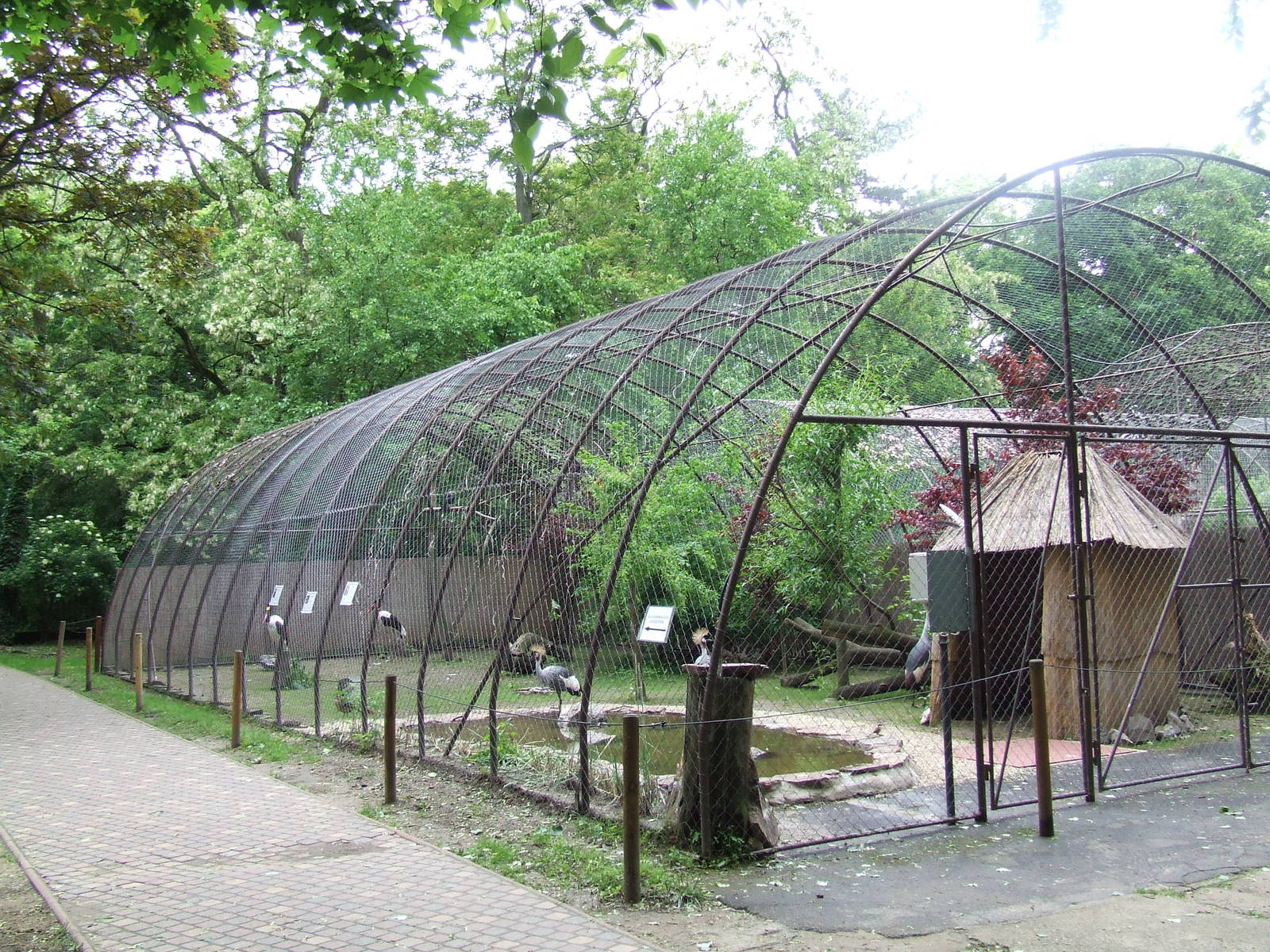Aviary
