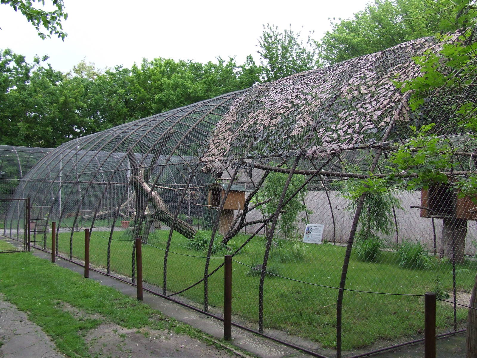 Aviary