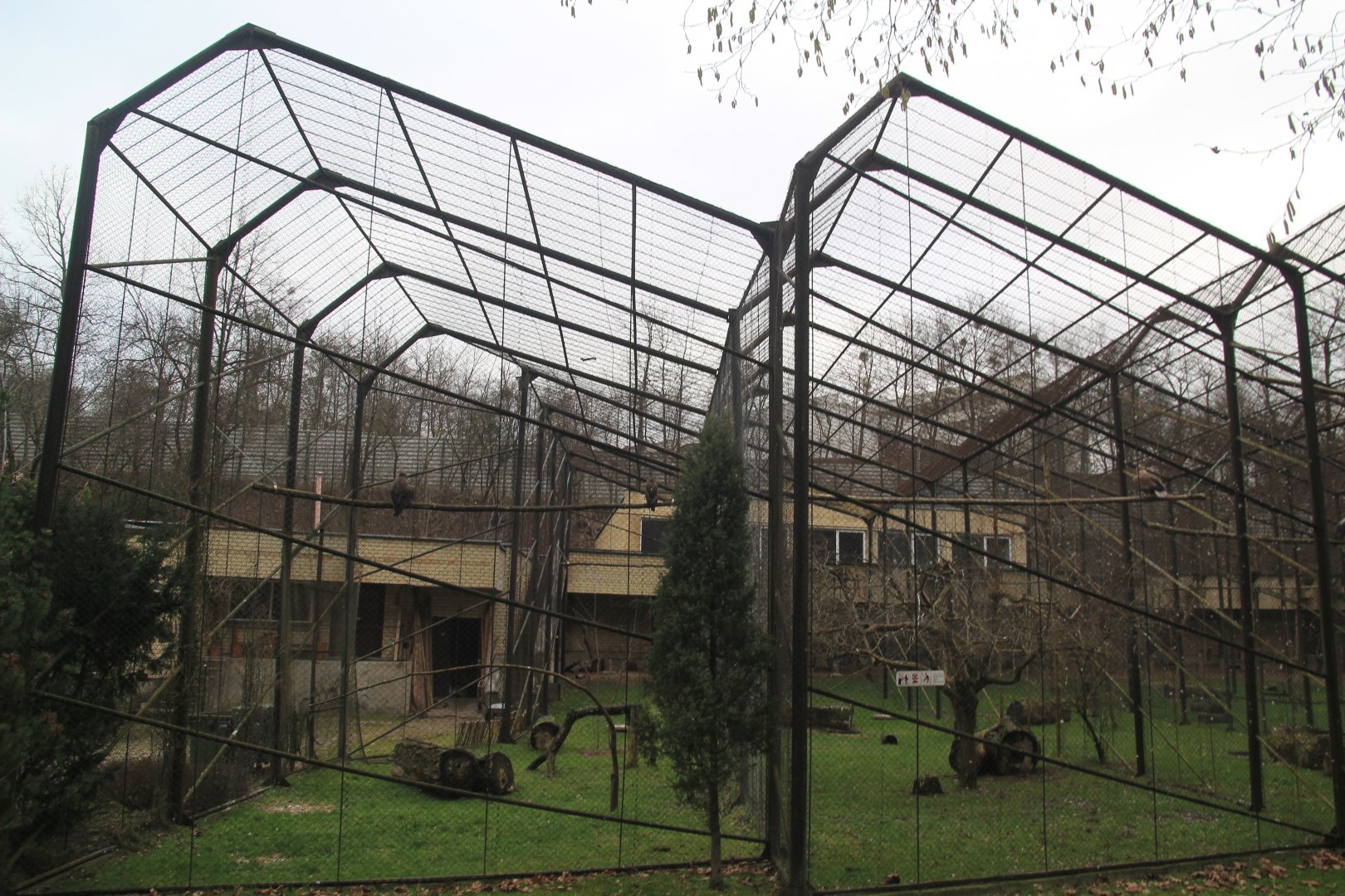 Aviarys for Birds of Prey, January 2020