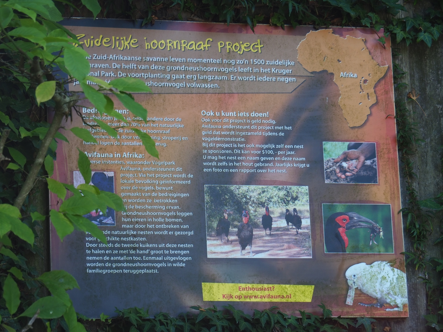 Avifauna conservation projects sign (Sep 2nd, 2018)
