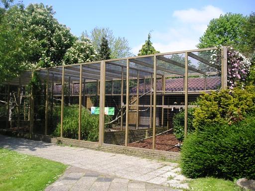 Avifauna in Alpen a/d Rijn (NL) Hornbills around 2006