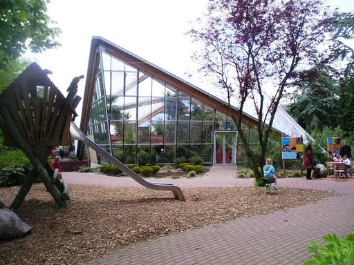 Avifauna in Alpen a/d Rijn (NL) 'Lori landing' around 2006