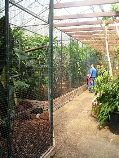 Avifauna in Alpen a/d Rijn (NL) 'Martinushal' around 2006