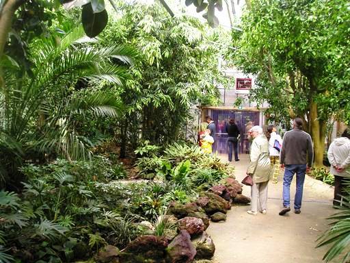 Avifauna in Alpen a/d Rijn (NL) 'Martinushal' around 2006