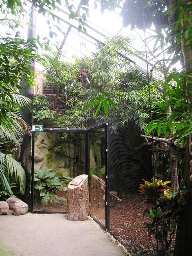 Avifauna in Alpen a/d Rijn (NL) 'Martinushal' around 2006