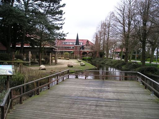 Avifauna in Alpen a/d Rijn (NL) Ostrich around 2006