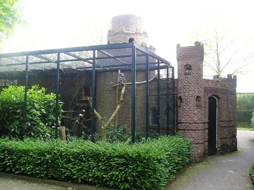 Avifauna in Alpen a/d Rijn (NL) Owls around 2006