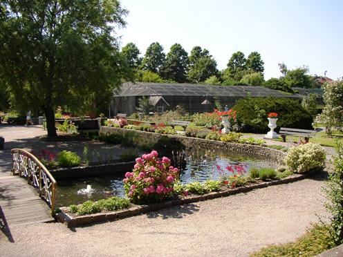 Avifauna in Alpen a/d Rijn (NL) Park around 2006