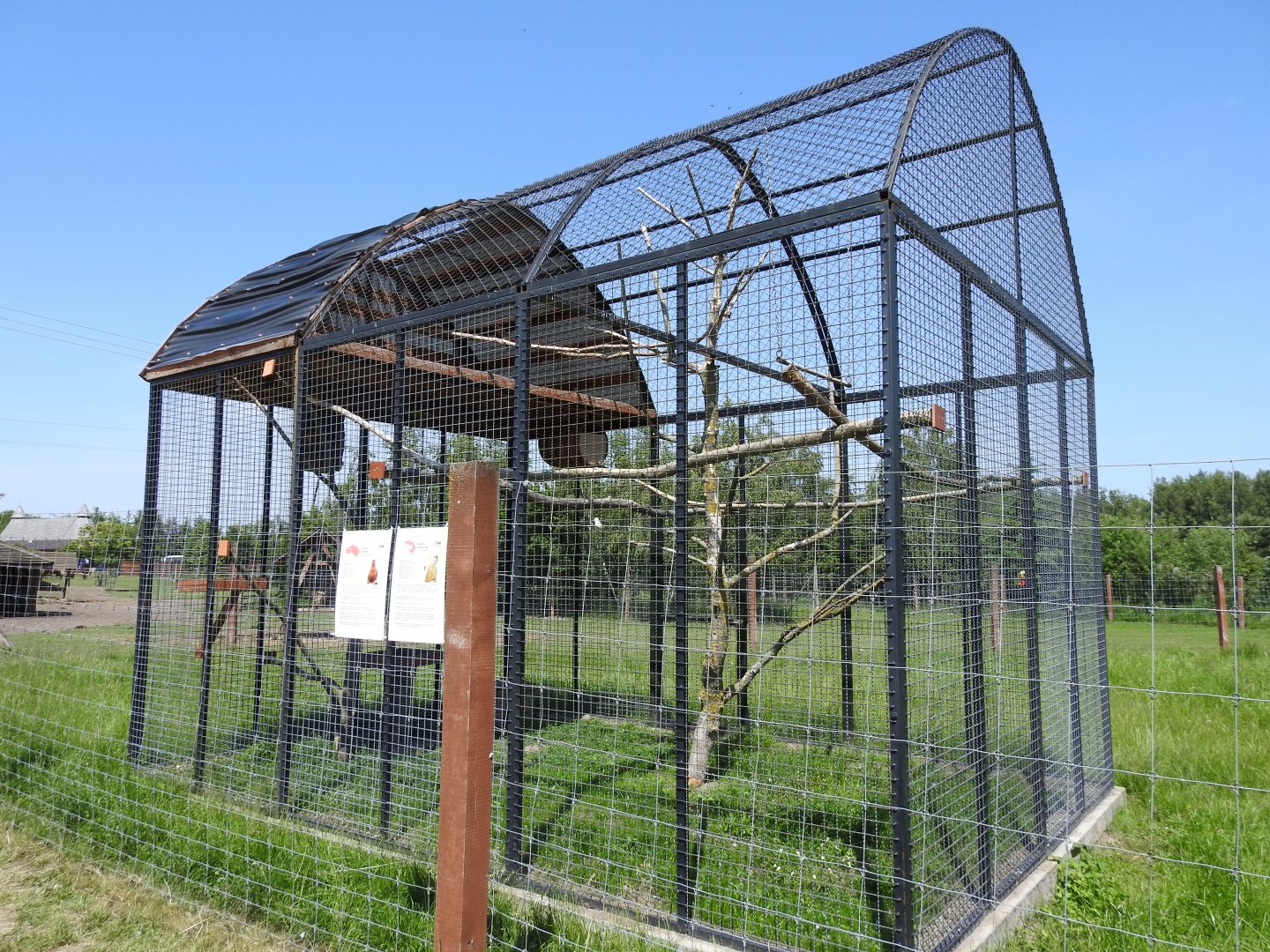 Avivray for Cockatoo