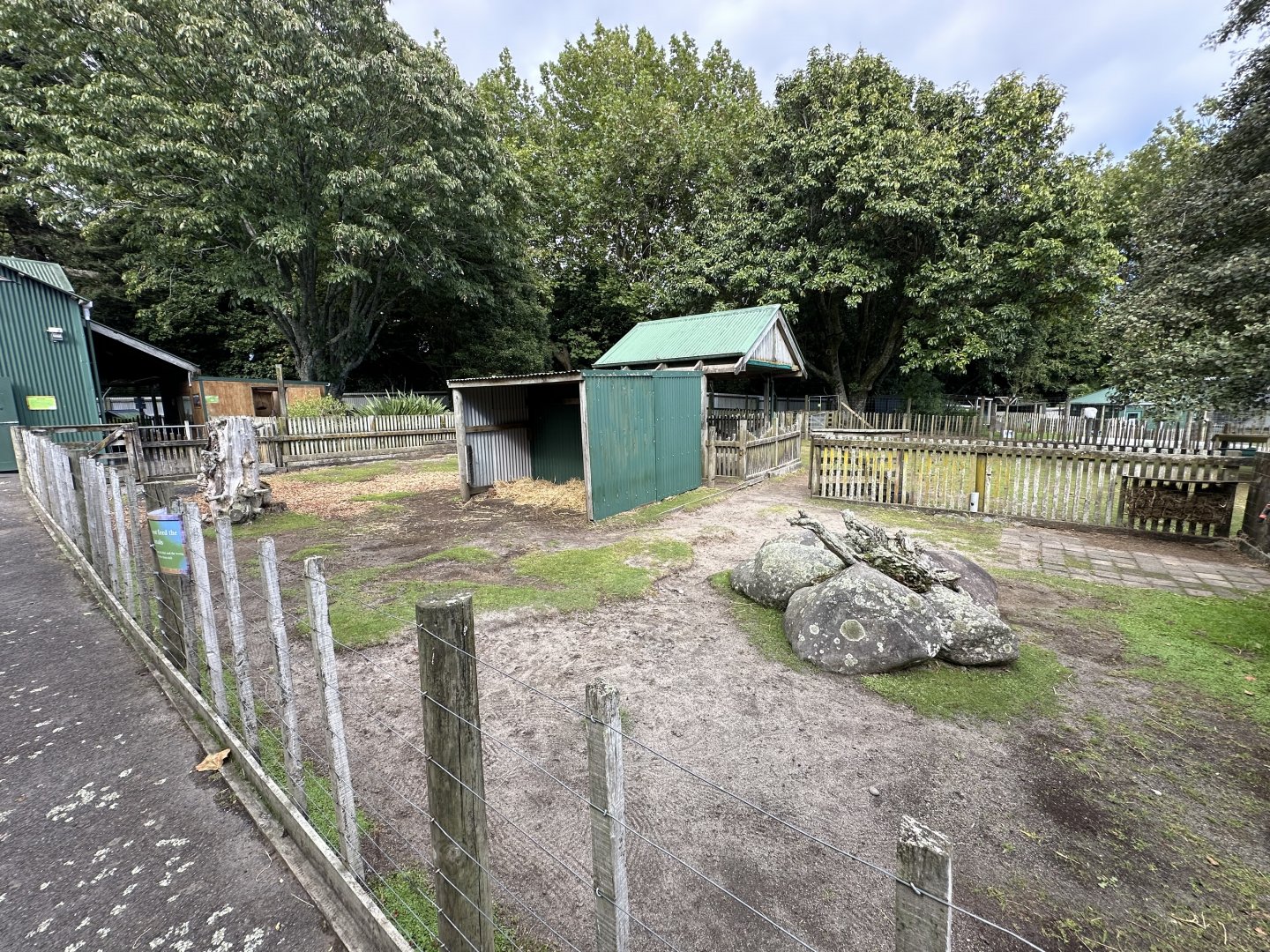 Avonstour Island Sheep Exhibit