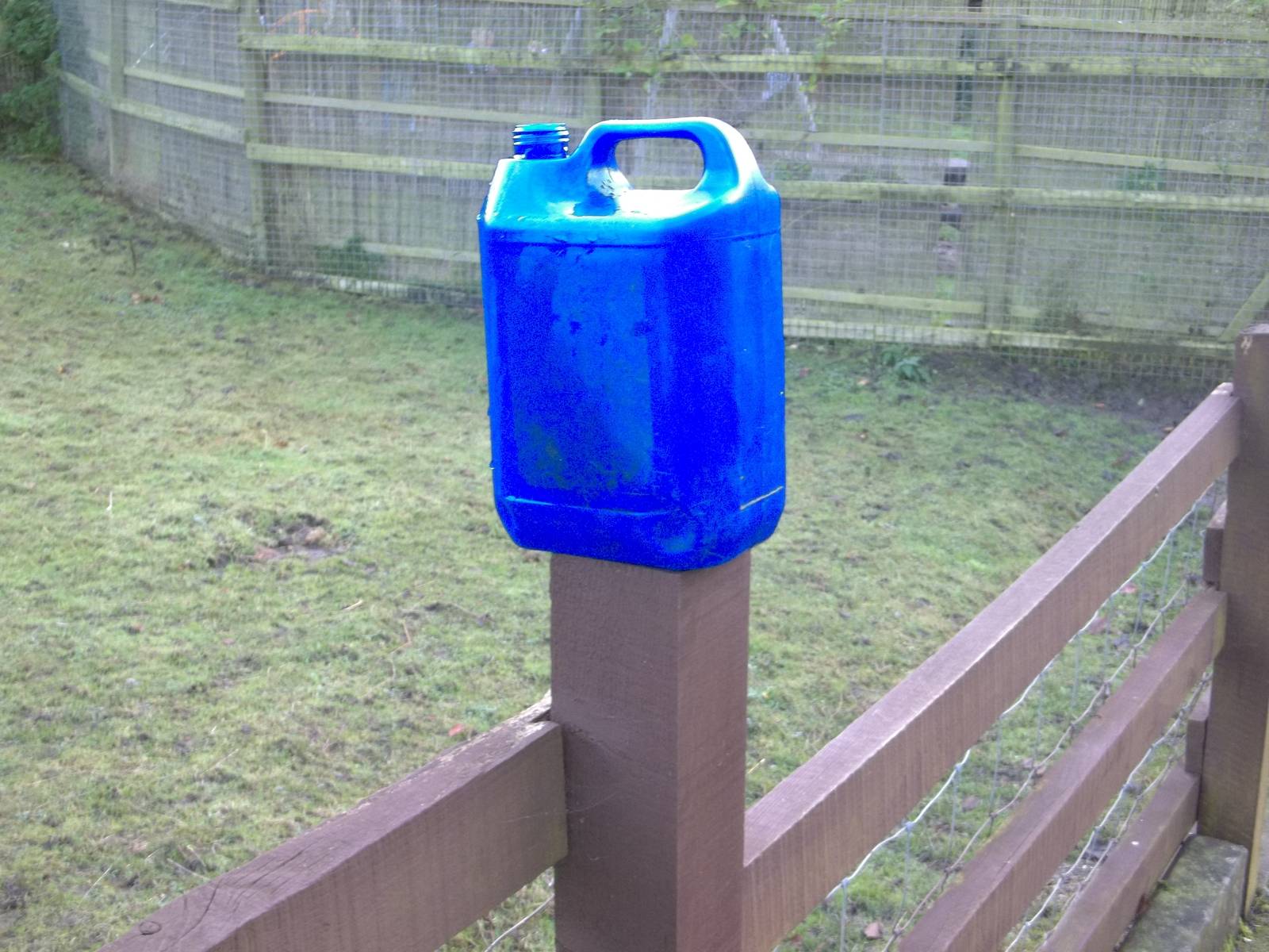 Awaiting KeeperKatie, 9th November 2014