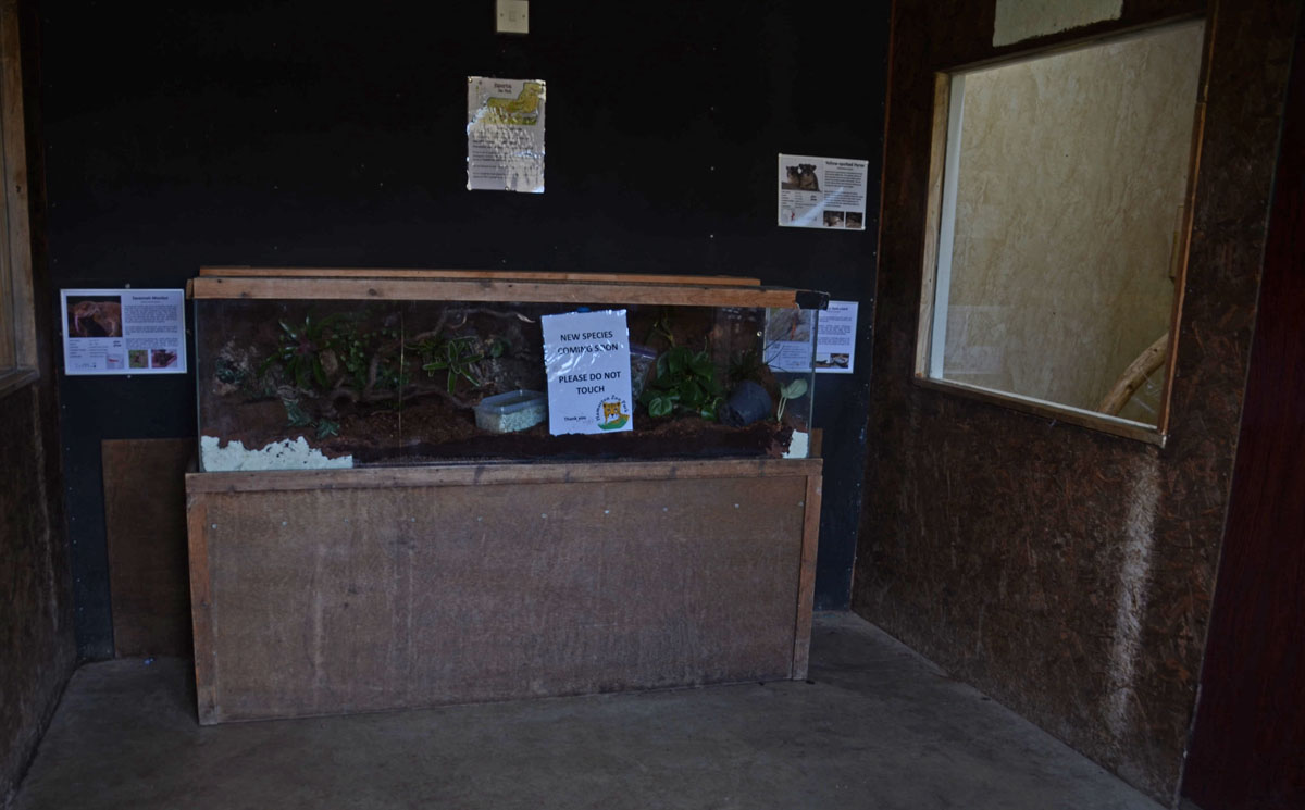 Awaiting new species