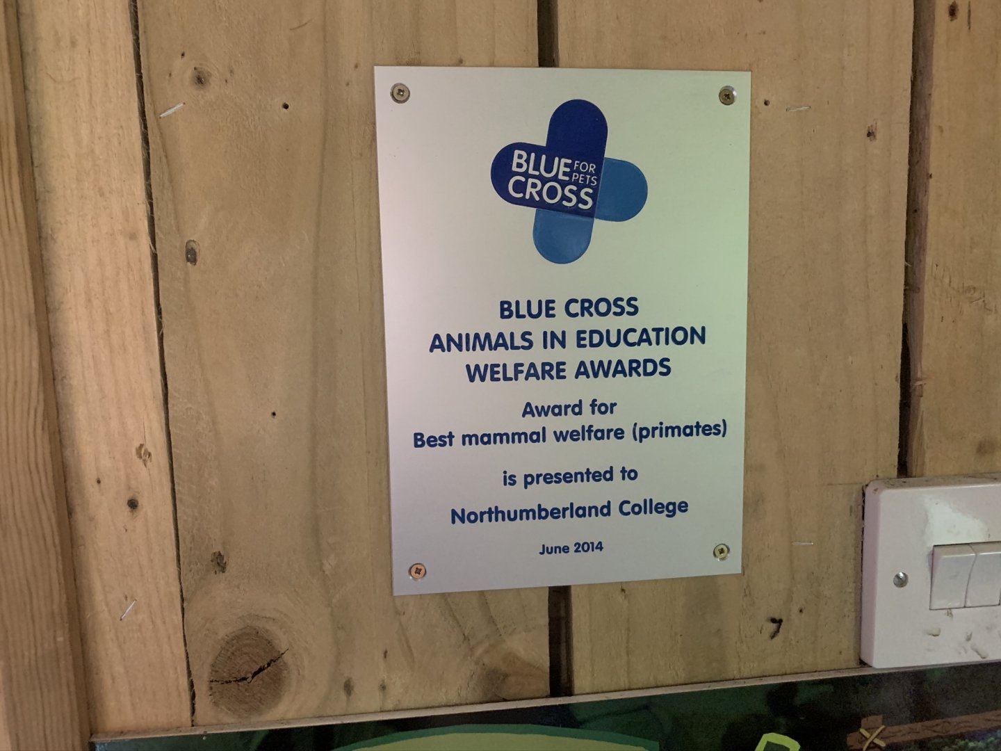 Award for Best Mammal Welfare (Primates) at Northumberland College Zoo (2020)