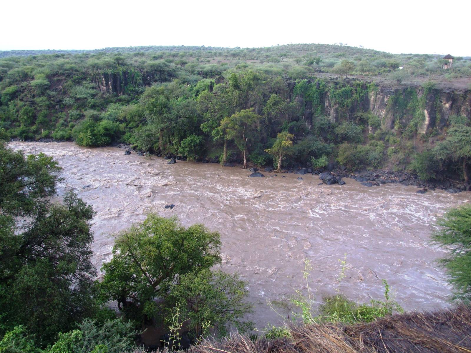 Awash River - Awash NP, 12/10/14