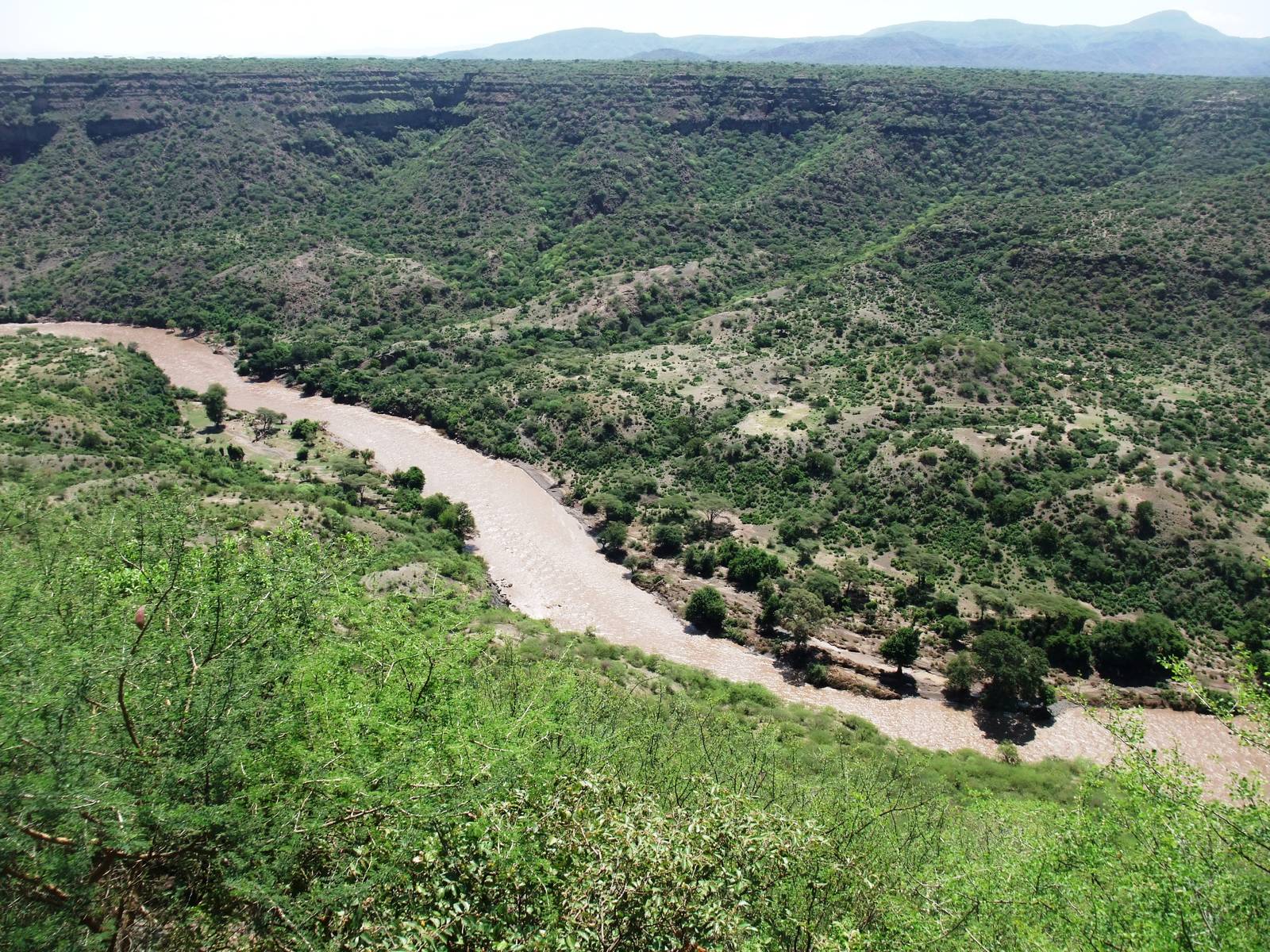 Awash Valley - Awash NP, 12/10/14