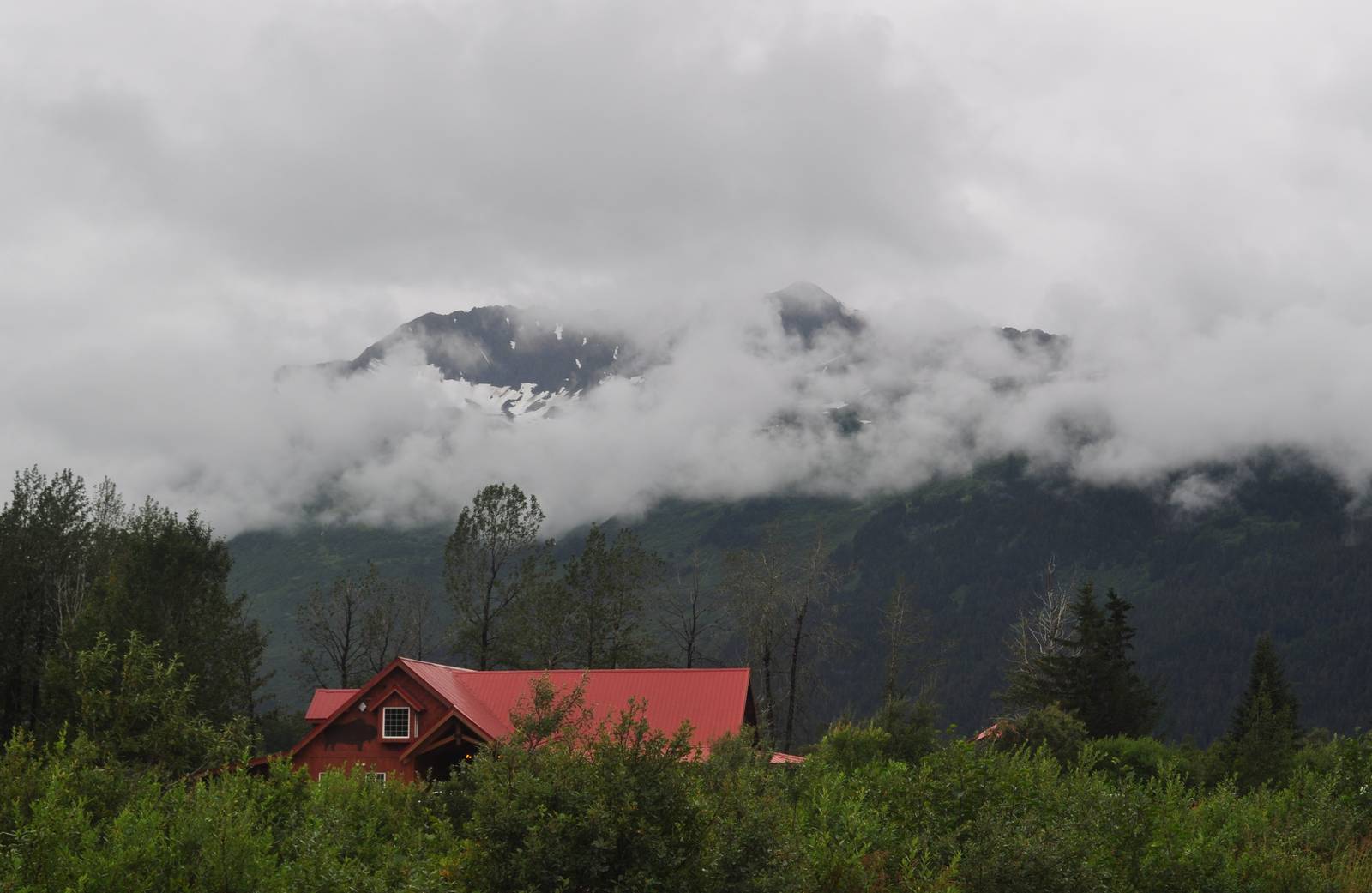 AWCC Visitor Center and Gift Shop
