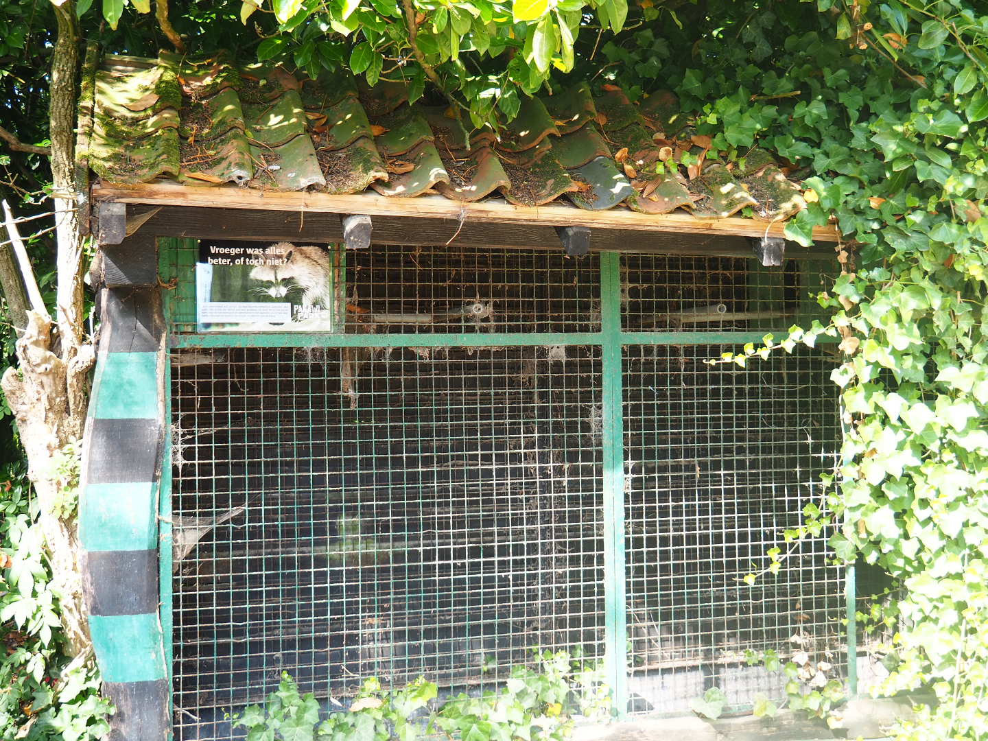 Awful old raccoon cage, now an empty relic, 2019-08-11