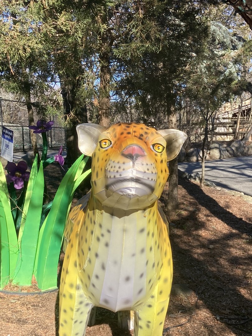 Awkward-Looking Zoo Art