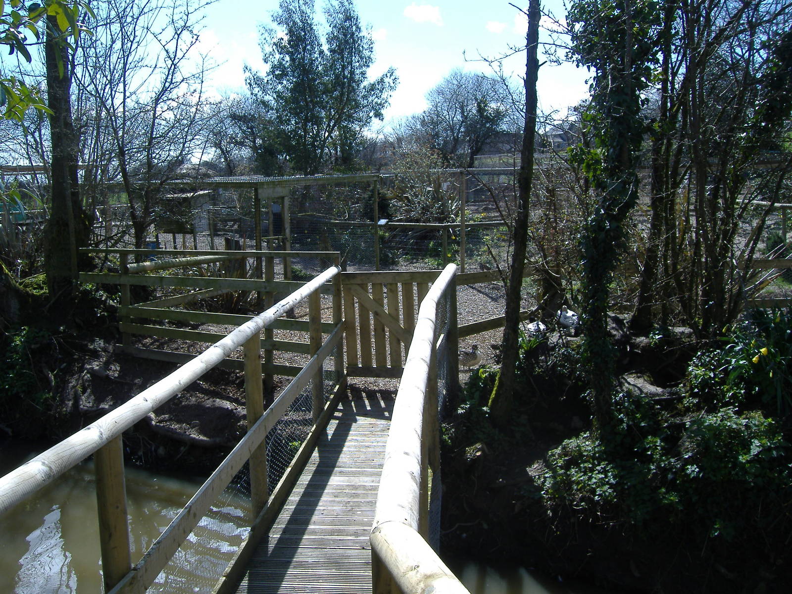 axe valley bird and animal park