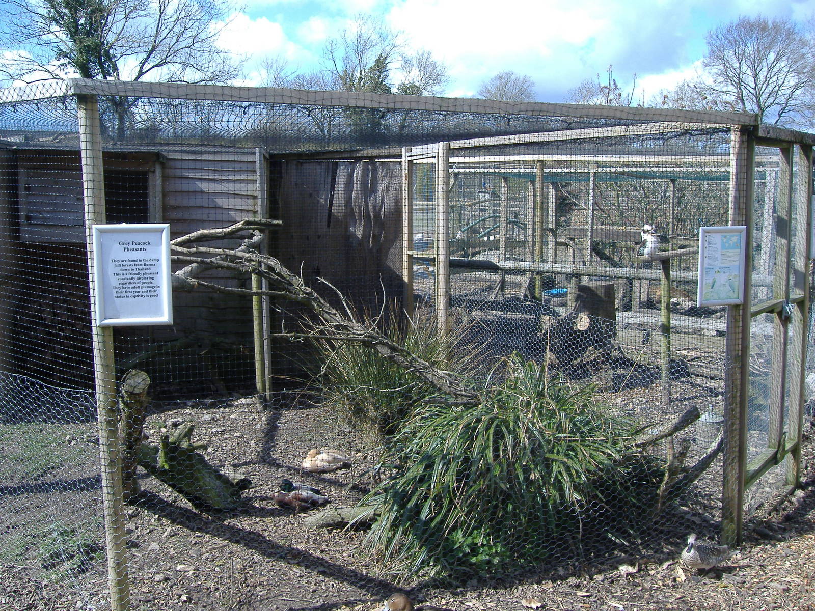 axe valley bird and animal park