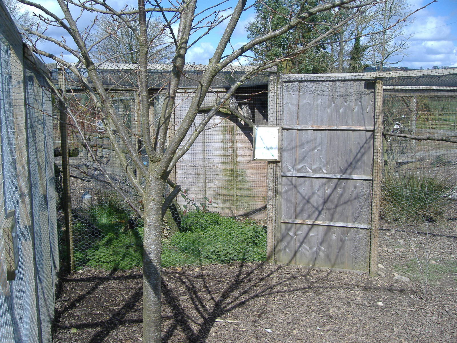 axe valley bird and animal park