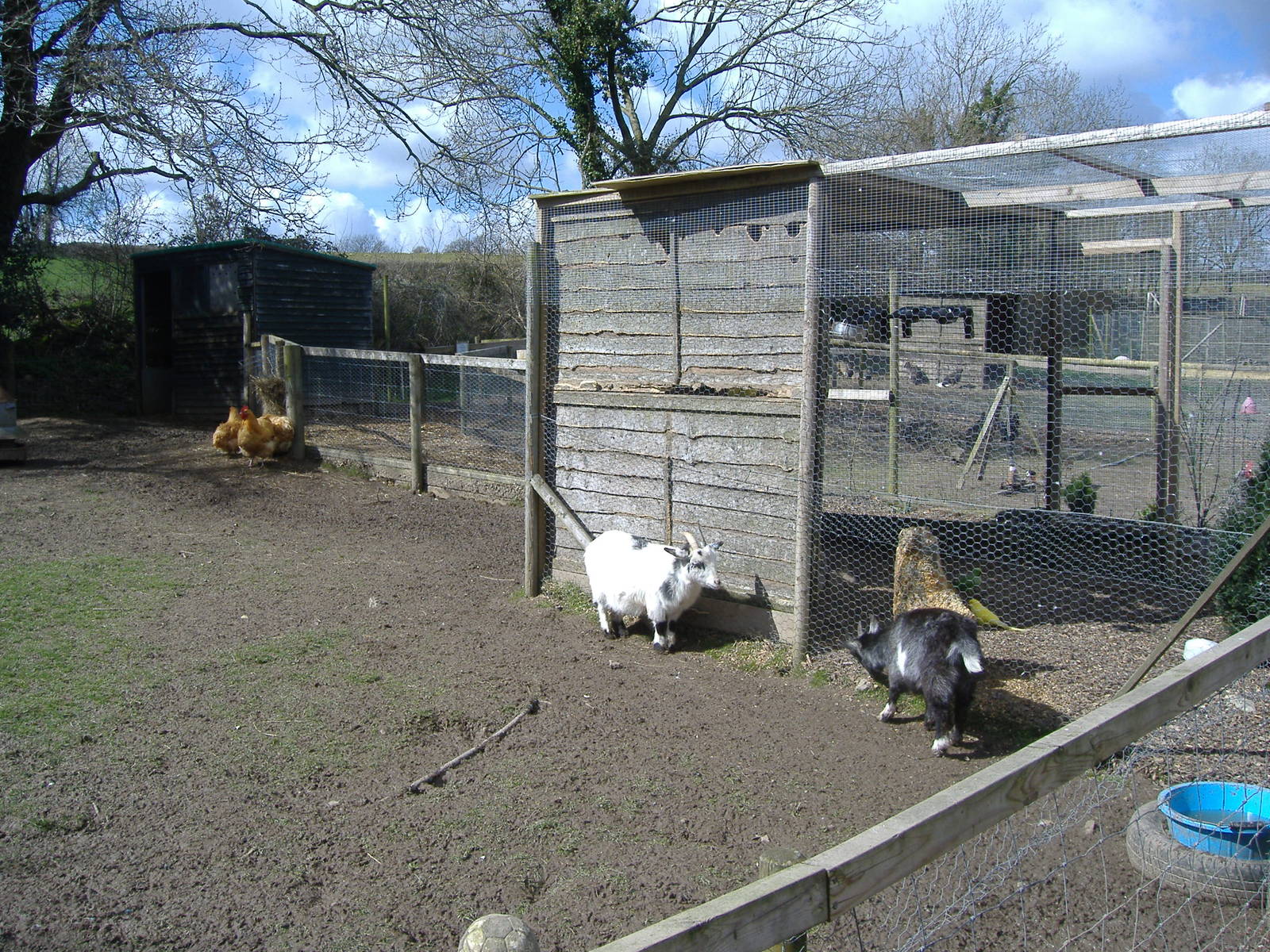 axe valley bird and animal park